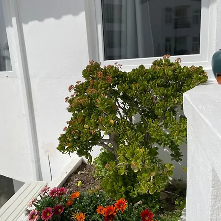 شقة Varanda O Mar البوفيرا