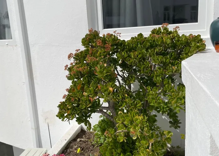 Apartment Varanda O Mar Albufeira